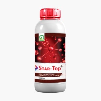 STAR –TOP